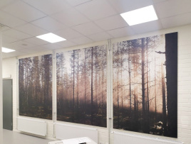 Einen ganzen Wald in's Büro holen